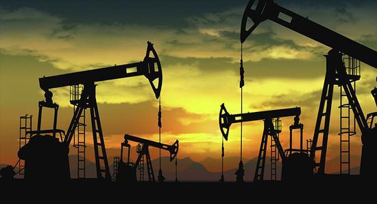 环球一周丨82岁老奶奶打趴闯入者，“火鸡骚扰”令人头疼，石油制品风波再起
